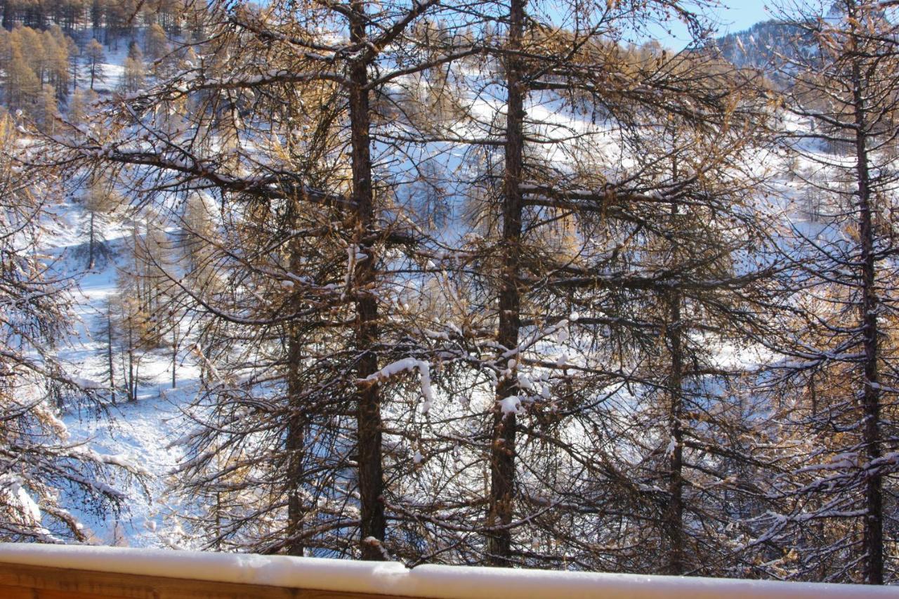 Spacieux Et Fonctionnel Dans Ecrin Des Neiges Vars  Exterior photo